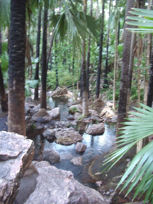 Zebedee Springs at El Questro