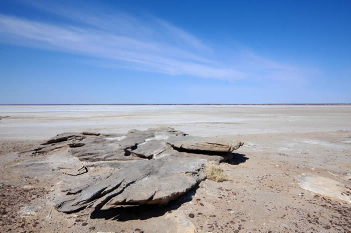 Lake Eyre. Photo by Sue Callaghan